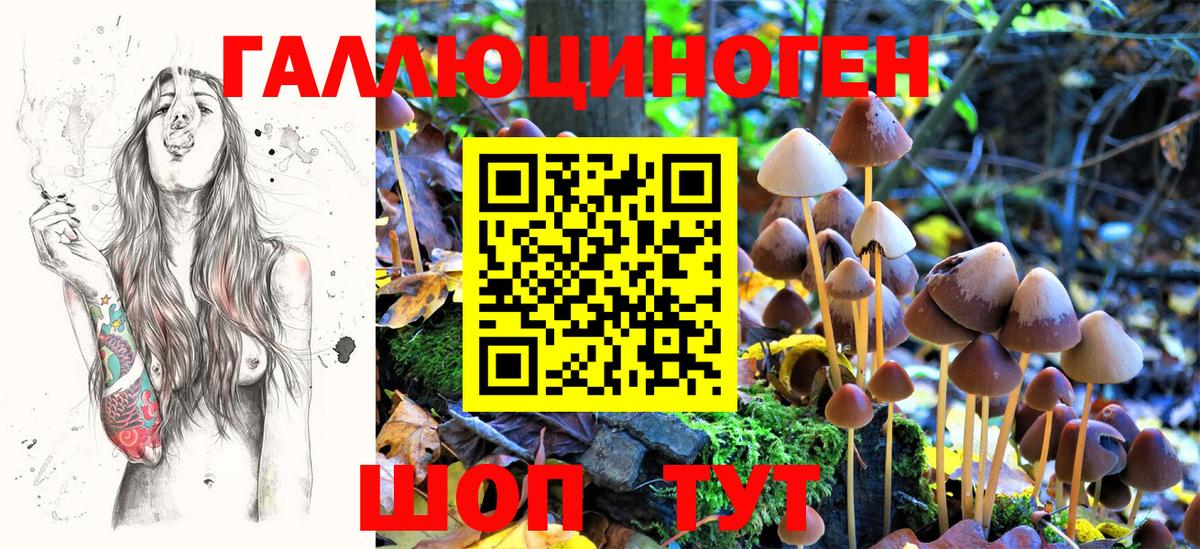 Галлюциногенные грибы ЛСД Кстово