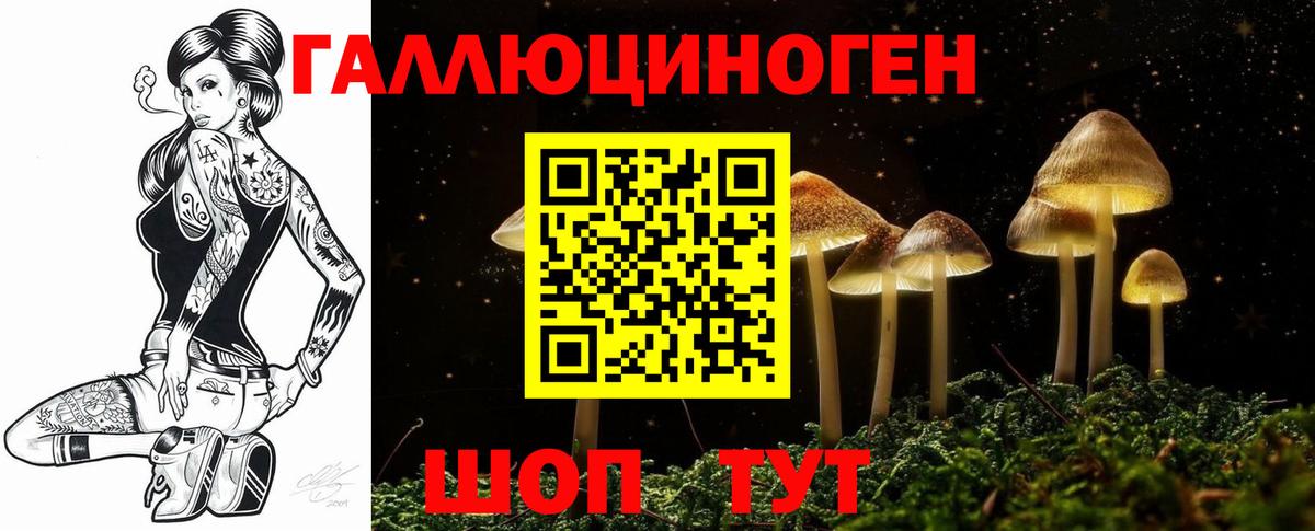 Псилоцибиновые грибы Magic Shrooms  купить наркоту  Кстово  Псилоцибиновые грибы MAGIC MUSHROOMS  Вход с VPN 